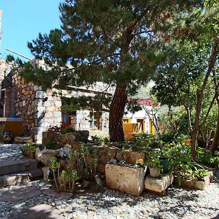 Casa Curtos Apartment Catorce Room photo